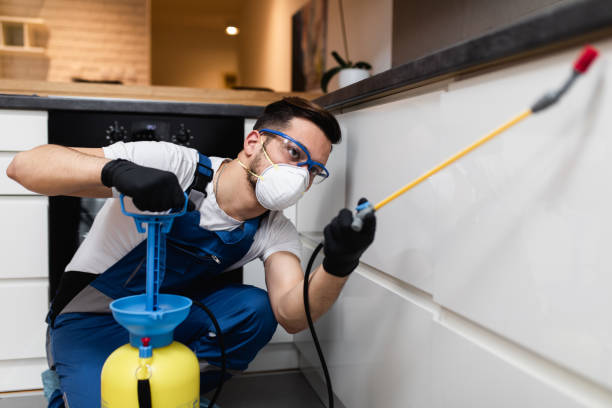 Best Pest Prevention Services  in Monte Vista, CO