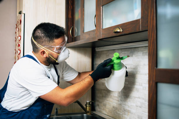 Reliable Monte Vista, CO Pest Control Solutions