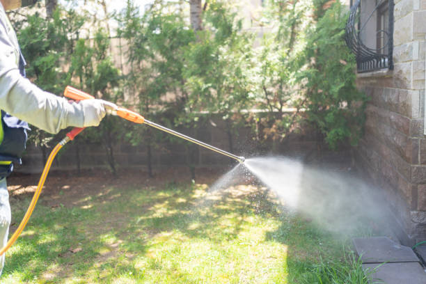 Best Affordable Pest Control Services  in Monte Vista, CO