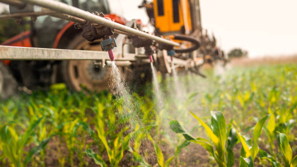 Best Mosquito Control Services  in Monte Vista, CO